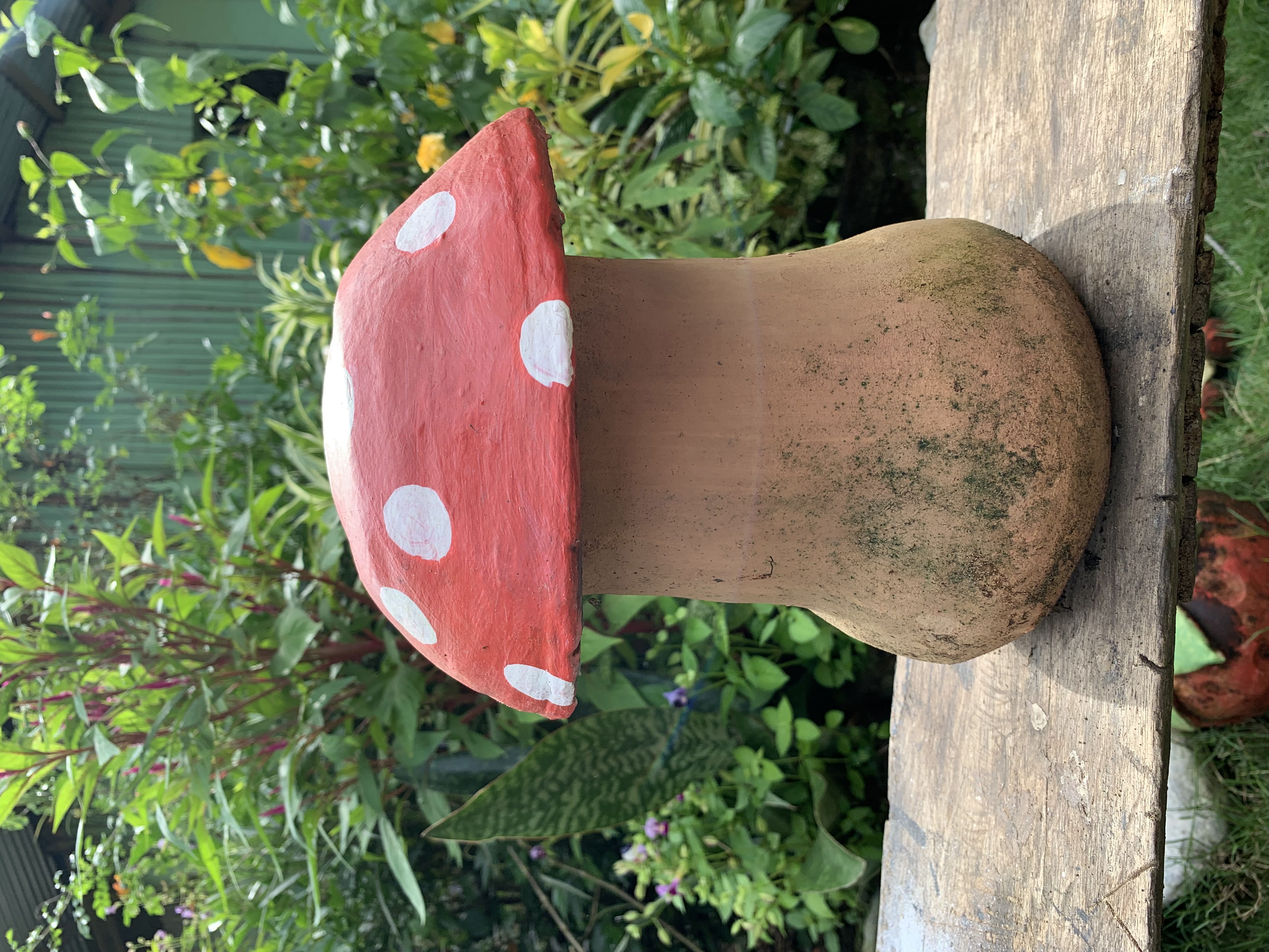 Mushroom Pot